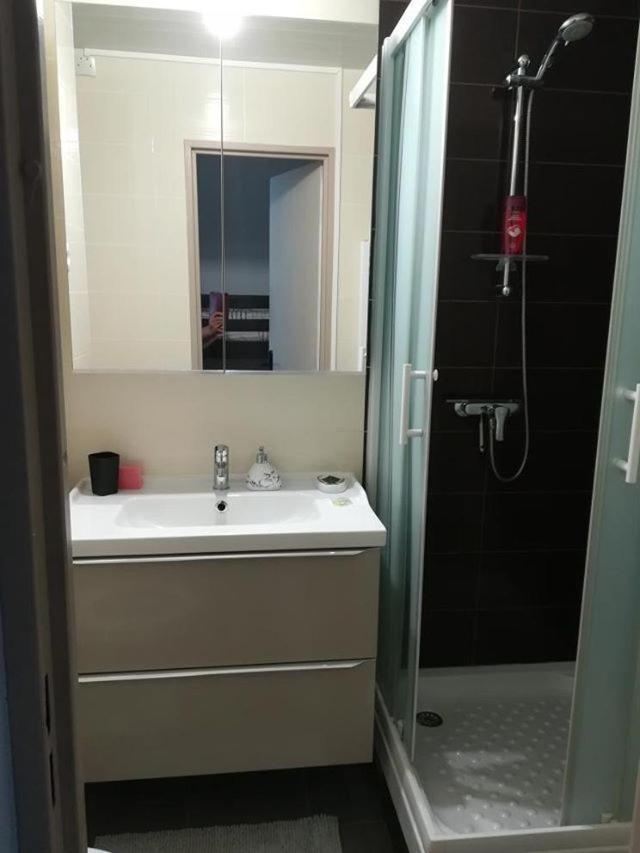 Studio Cabine Vue Port Avec Parking Prive, Piscine, Parc, Boulodrome Agde Ngoại thất bức ảnh